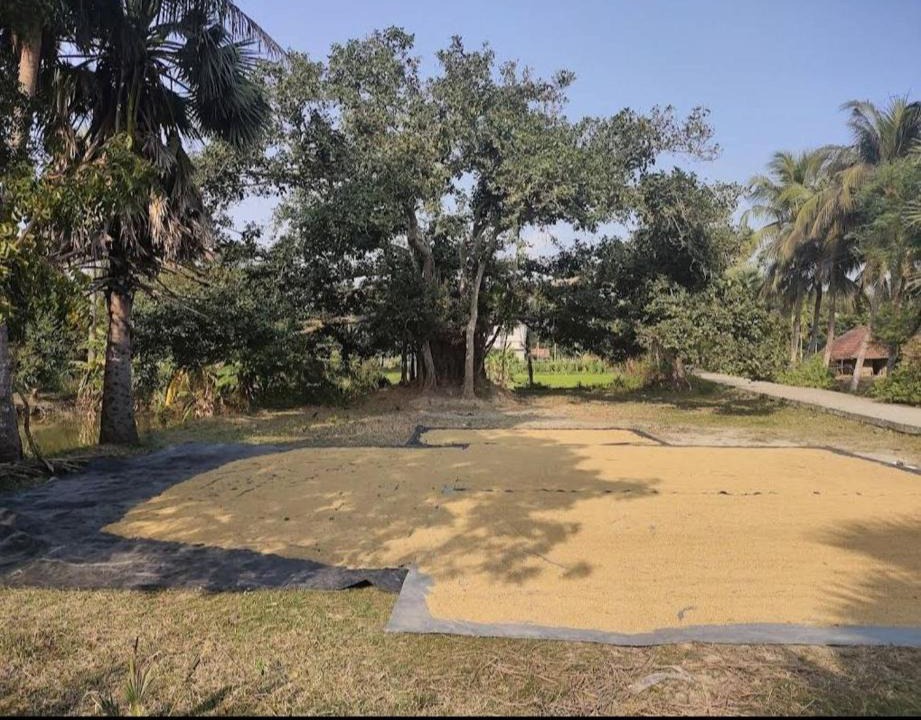 Diamond Harbour House | Amullya Kanan Villa, Sundarban