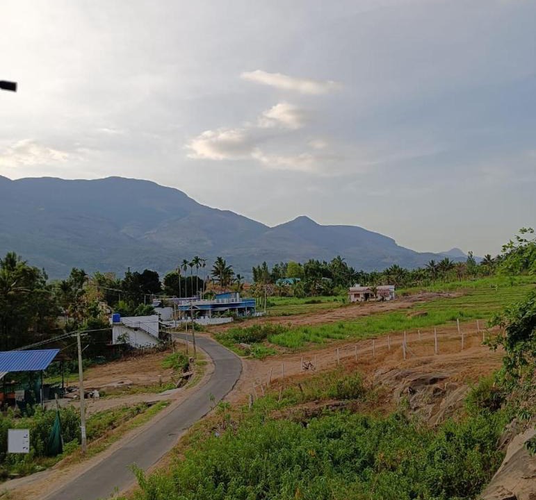 Maraiyur House | Bro Code Marayoor A Premium Family Friendly Retreat with Panoramic Mountain Views