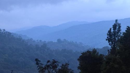 Madikeri House | Coorg royal stay home stay