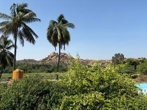 Hampi House | Dreamcatcher Restaurant and Guesthouse