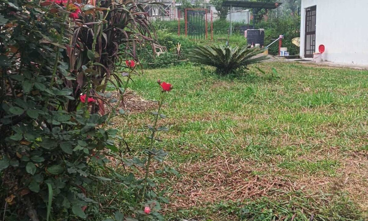 Gopalpur House | Enchanting 2-bedroom homestay nearby Palampur city in Dhauladhar mountains.