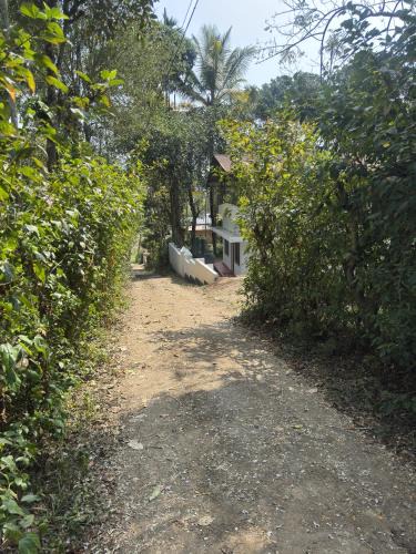 Meenangadi House | Hibisco Hideout