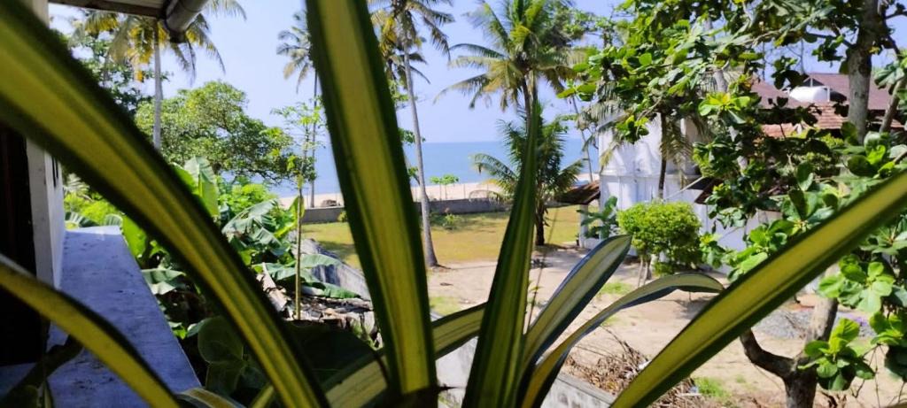 Cherthala House | Marari sibiya beach villa
