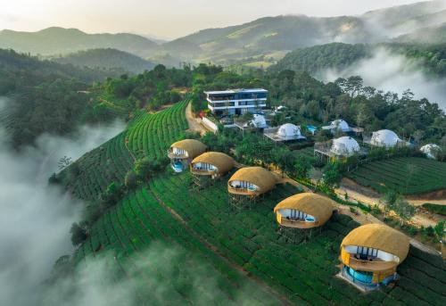 Elappara Resort | Monticle Glamps