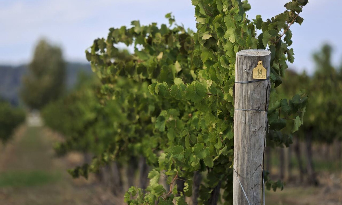 Central Mudgee Other | Mudgee Valley Park
