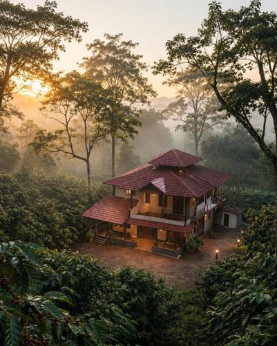 Virarajendrapet House | Rain forest estate stay up stairs cofea eastate