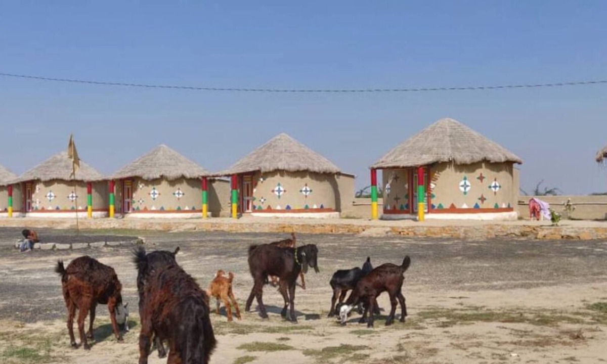 Bhuj Bed & Breakfast | Rann Roshni Homestay – Family Friendly Stay in Kutch 6