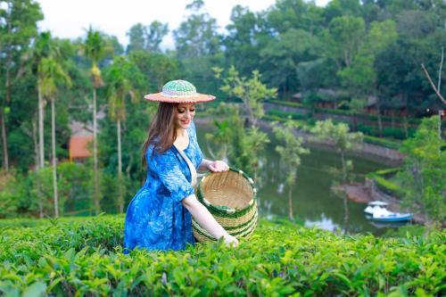 Vagamon Resort | Saj Vagamon Hideout