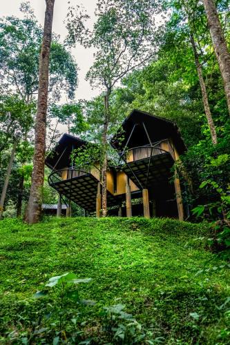 Elappara Resort | Song Of The Trees Jungle Experience Stay Kutitkanam by LexStays