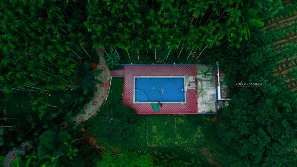 Kushalnagar Resort | STAYMAKER Coorg Jungle Stay Resort