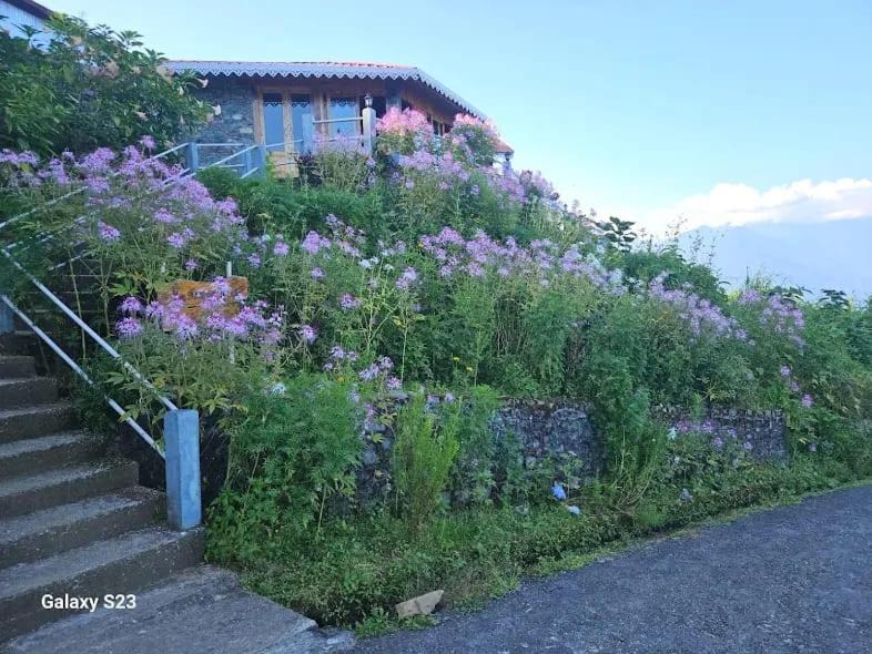 Kumai House | The Serene Acres, Farm & Stay