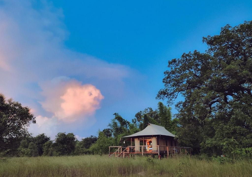 Umaria Hotel | The Untamed Bandhavgarh by TUTC