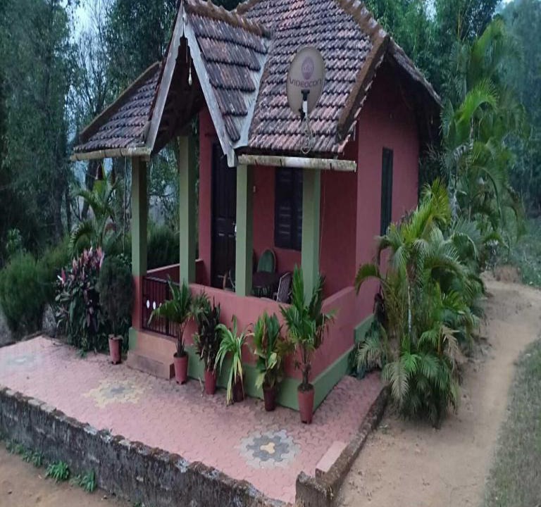 Kaimane House | TripThrill Jungle Side Homestay