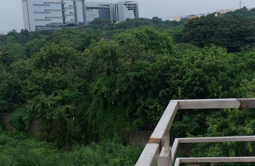 Hyderabad Apartment | 3 BHK Family & Corporate Serviced Apartment in Hitech City Hyderabad