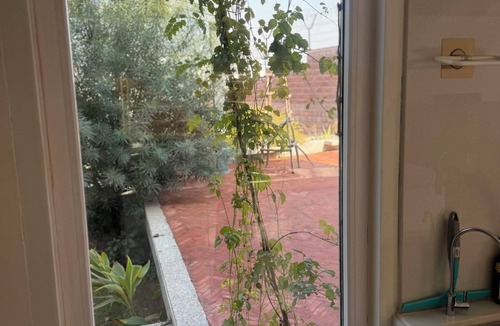Jodhpur Villa | A Quiet, Well-Designed Home for International Travelers in Jodhpur