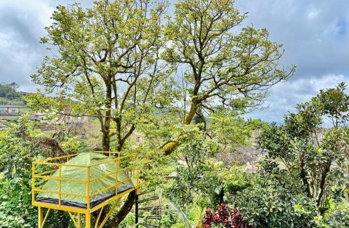 Stuart Hill Hostel | ABODE Backpacker's Hostel