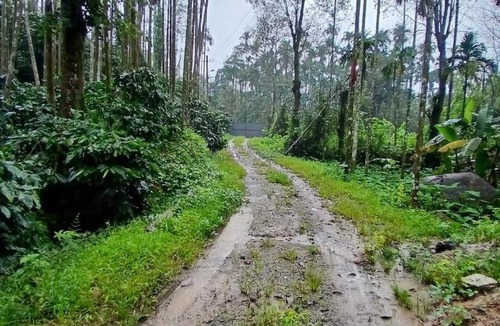 Sangameswarpet House | Anagha Stay - Chikmagalur