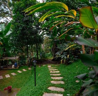 Pallivasal Hotel | Aroma Hills Resort Munnar