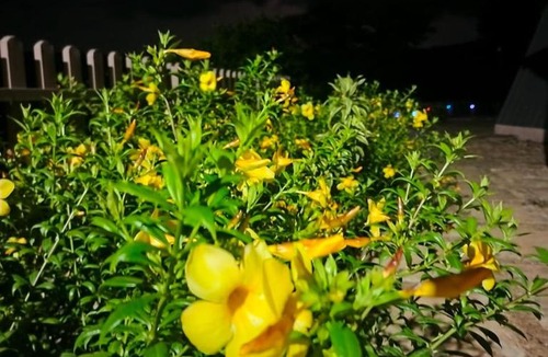 Bhor Resort | aryaneel resort