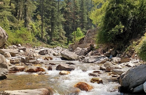 New Manali Cabin | Aum At the Great Himalayan National Park Road, comes the fairytale village Tandi