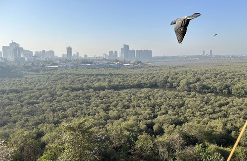 Kandivali Apartment | Beautiful neat and clean place . Beautiful green view with nature
