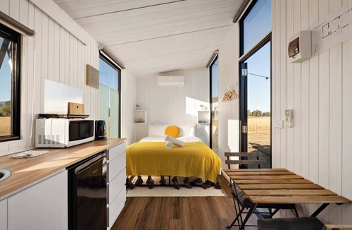 Maindample House | Billy Button 1 by Tiny Away