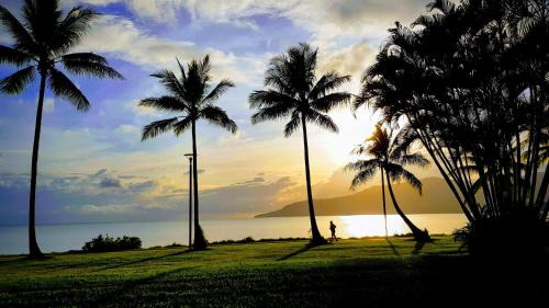 Cairns North Hotel | Cairns Harbourside Hotel