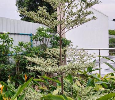 Medchal House | Cherish Farm Stay