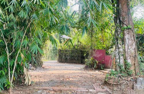 Kalpetta House | Clement homes