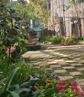 Amritpur Resort | Cottages At Village Bhimtal-Naukuchiatal