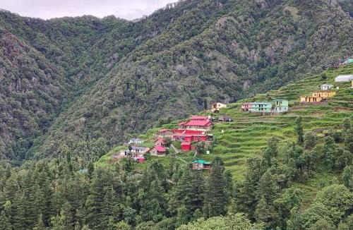Dhanaulti Hotel | Dhanolti Apple Orchard Resort