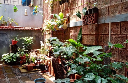Ullal House | DhruvDhanush(2-bedroom with AC/2 attached bathroom in lovely Ullal/deralakatte