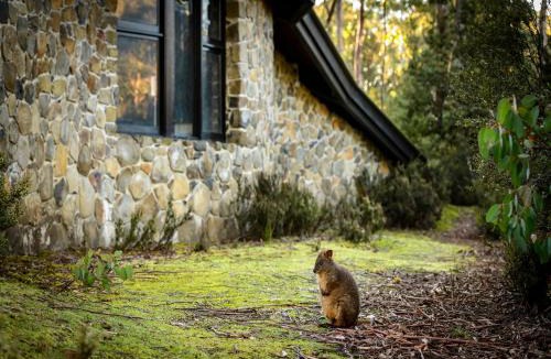 Cradle Mountain Cabin | Discovery Parks - Cradle Mountain