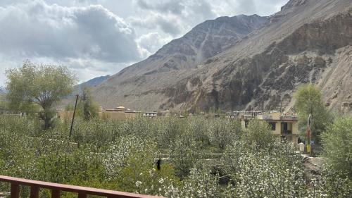 Tabo Bed & Breakfast | Dolma house home stay