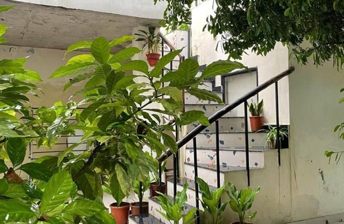 Dehradun Hotel | Fiddle Leaf Cottage