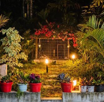Sulthan Bathery House | FIG & SHADE-Private Hill-view -Serene Hill Retreat