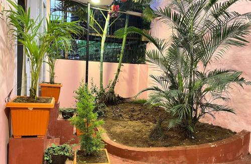 Valparai House | Golden Villa
