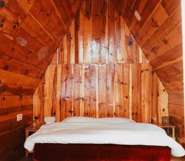Mohal Ski Chalet | Hima 360, A Frame Cabin, Panaromic Sainj Valley Views, Bhatkanda