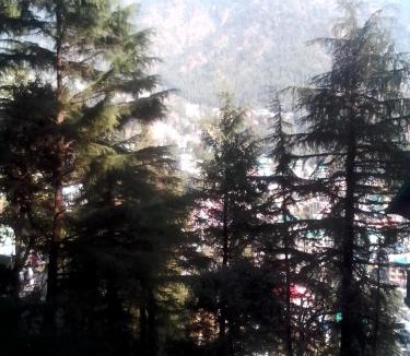Dharamshala House | Himalayan Hostel Snowline Trekkers Hostel