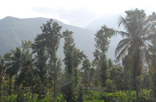 Coonoor House | Hospitality Expert Royston BBQ Bonfire Chef