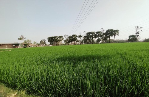 Sirsilla House | Hotel Moturi Farmstay Vemulawada