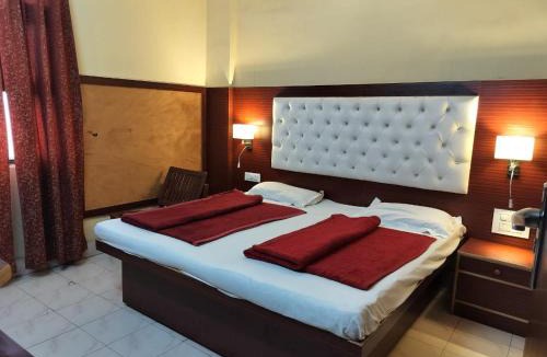 Paharganj Hotel | Hotel Prince Palace (The Green)