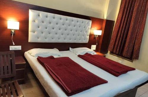 Paharganj Hotel | Hotel Prince Palace (The Green)