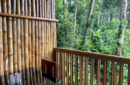 Kunchithanny Cottage | Illi Villa -Bamboo claded cottage in Kunchithanny: Where Munnar comes to exhale.