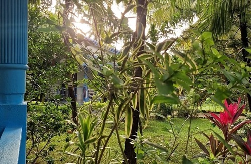 Palolem House | Janki's hideout Nature & Peaceful vibe – for people seeking relaxation and calm.