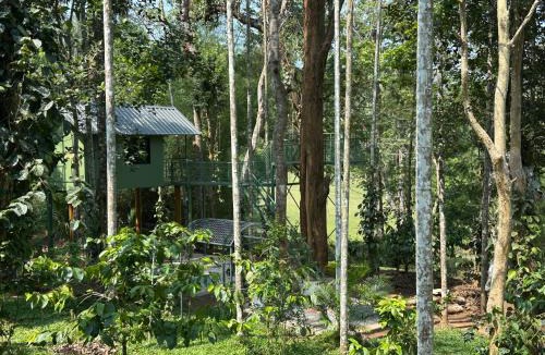 Sulthan Bathery Cabin | Jungle Getaway Wayand