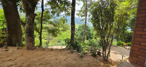 Suryanelli House | Jungle stays tent and cottage