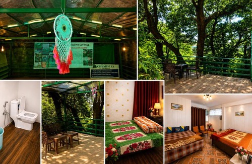 The Mall Road Hostel | Jungle wala Zostel- 3 Min walk from mall road