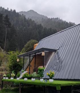 Kasol Cabin | Kasol A-Frame Cottage