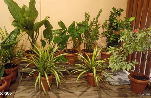 Nerul House | Keshvas Home Stay